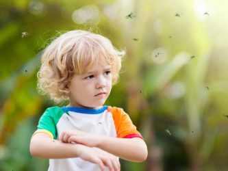 Insect Bites And Ticks